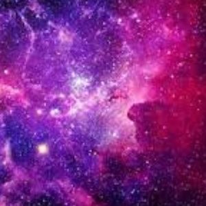 Meet your Posher, Breanne